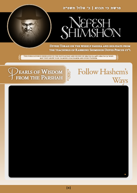 Nefesh Shimshon — Parshas Ki Savo