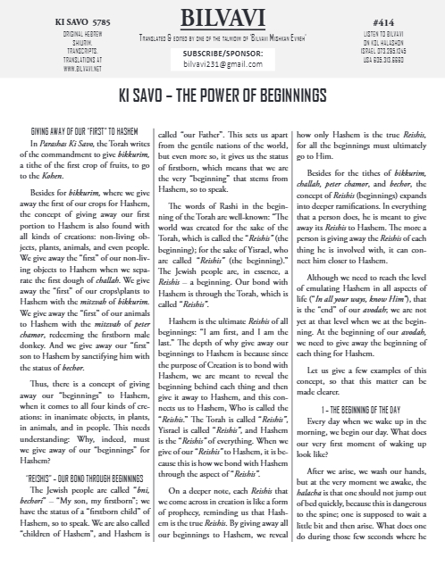 PDF Preview