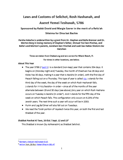 PDF Preview