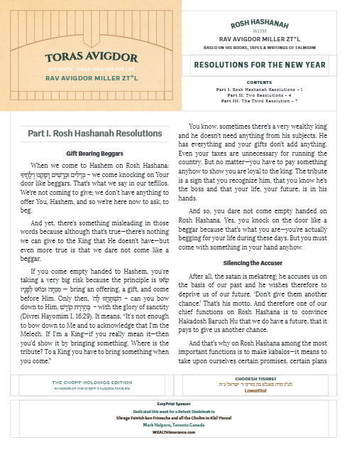PDF Preview