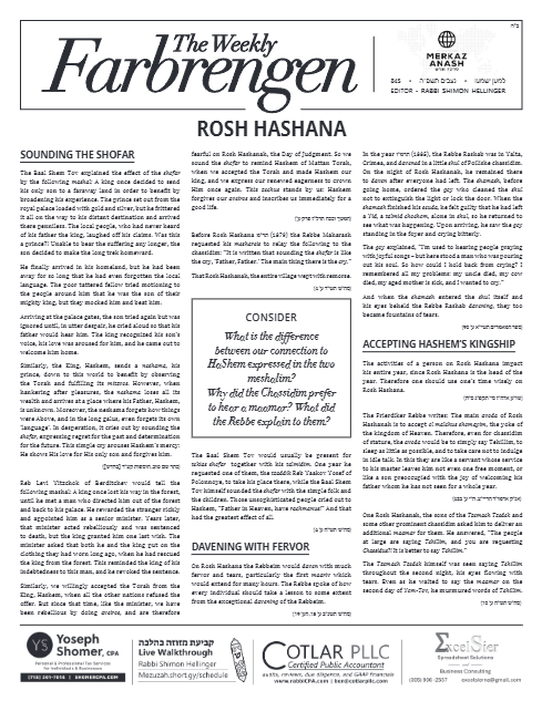 PDF Preview