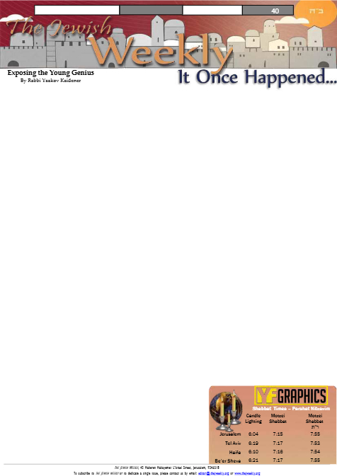 PDF Preview