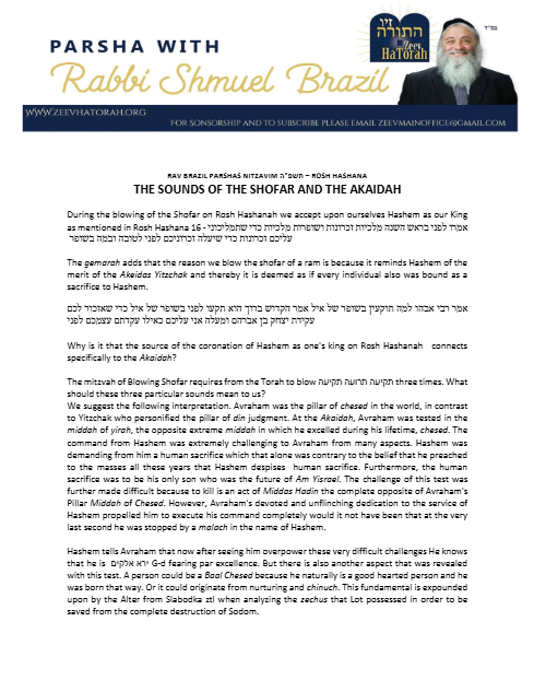 Parsha with Rabbi Shmuel Brazil — Parshas Nitzavim