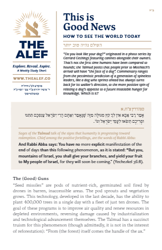 The Alef — Parshas Nitzavim