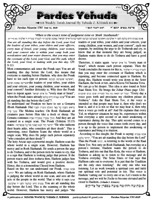 Pardes Yehuda — Parshas Nitzavim