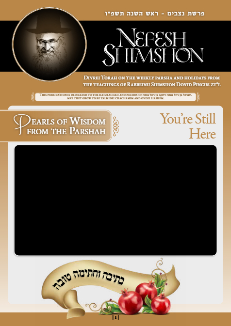 Nefesh Shimshon — Parshas Nitzavim