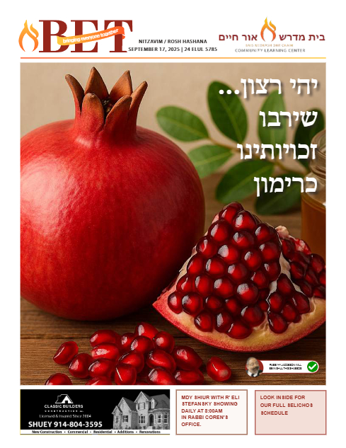 PDF Preview