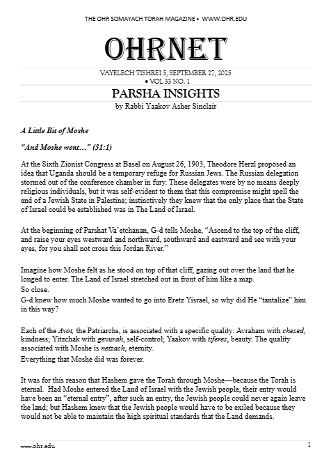 PDF Preview
