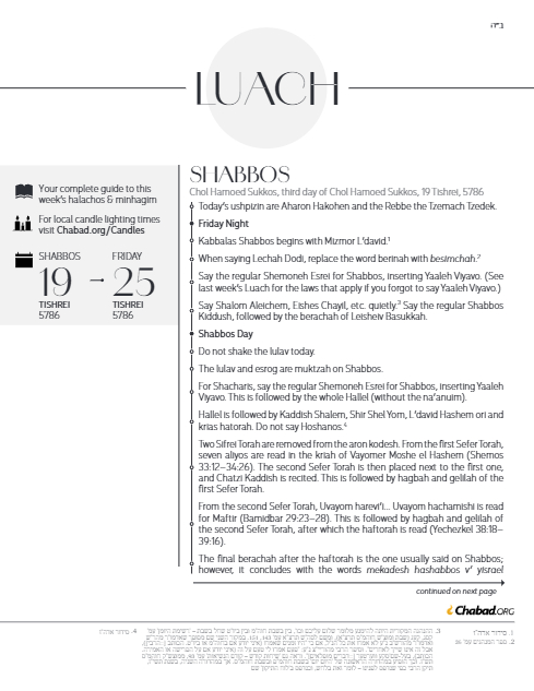 PDF Preview