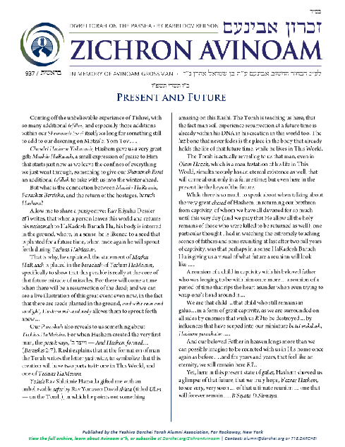 Zichron Avinoam — Parshas Bereishis
