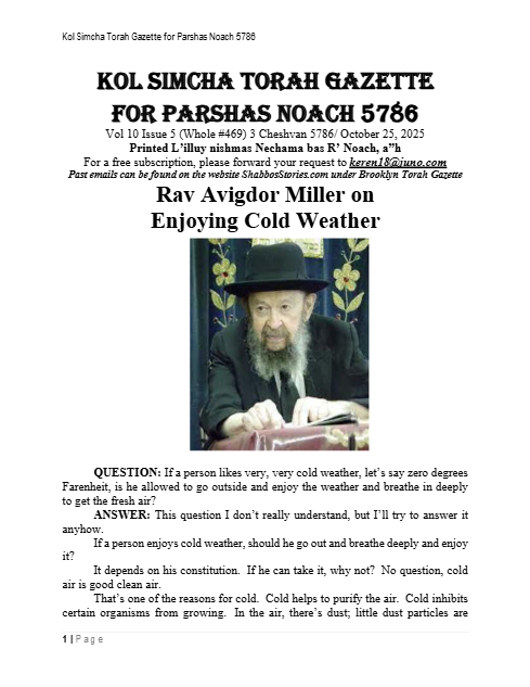 PDF Preview