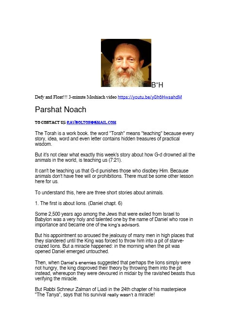 Rabbi Tuvia Bolton — Parshas Noach