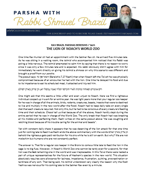 Parsha with Rabbi Shmuel Brazil — Parshas Noach