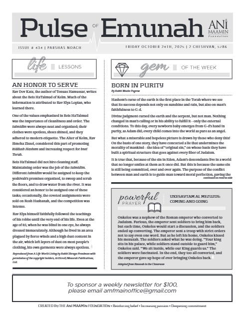 PDF Preview