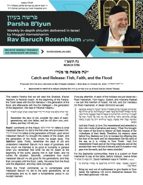 Parsha B'Iyun — Parshas Noach
