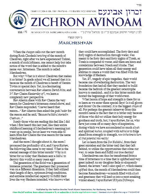 Zichron Avinoam — Parshas Noach
