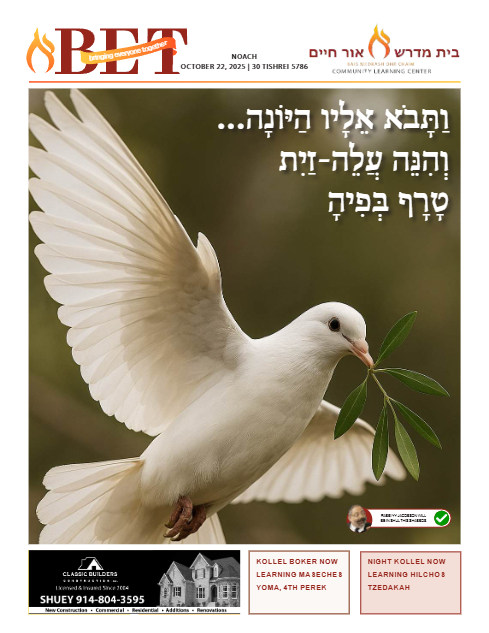 BET Journal — Parshas Noach