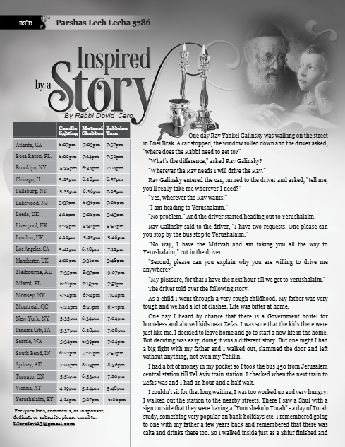 PDF Preview