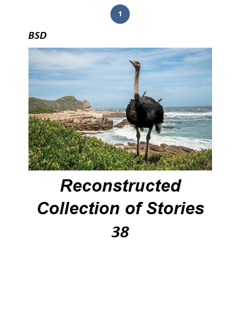 PDF Preview