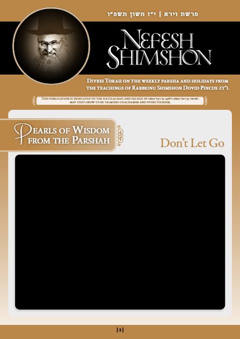 Nefesh Shimshon — Parshas Vayeira