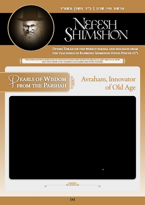 PDF Preview