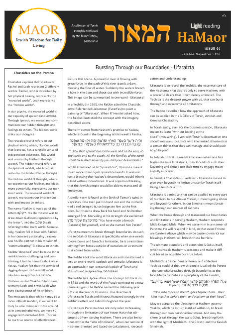 PDF Preview