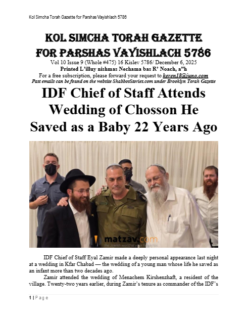 PDF Preview