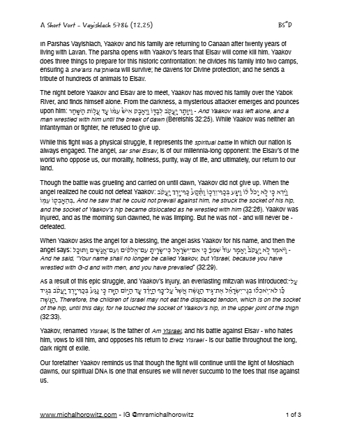 Michal Horowitz - Shiurim & Classes — Parshas Vayishlach