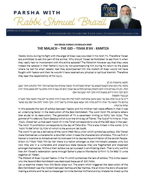 Parsha with Rabbi Shmuel Brazil — Parshas Vayishlach