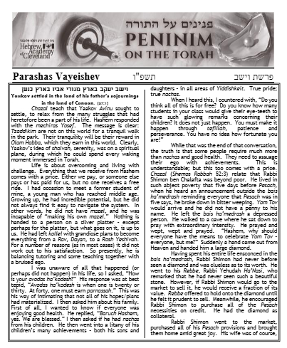 PDF Preview