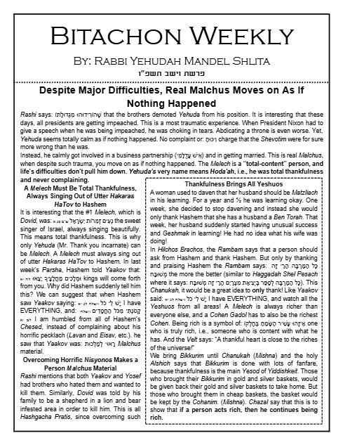 Bitachon Weekly — Parshas Vayeishev