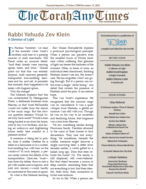 The Torah Anytimes — Parshas Vayeishev