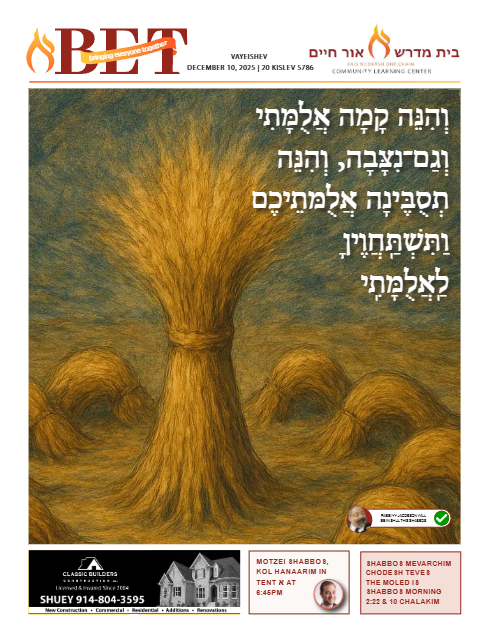 PDF Preview