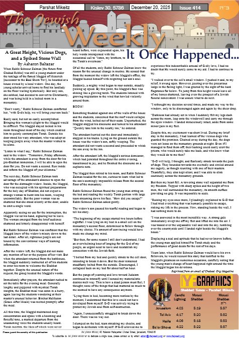 PDF Preview