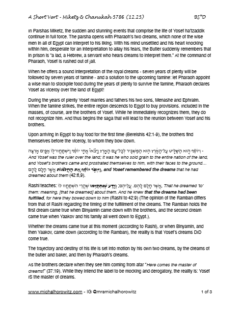PDF Preview