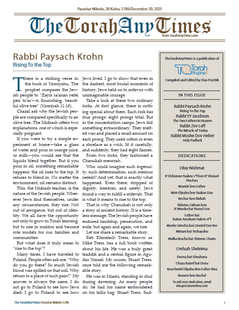 PDF Preview