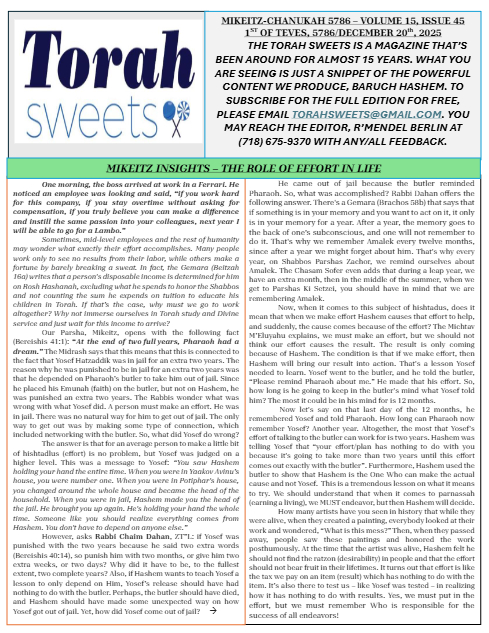 PDF Preview