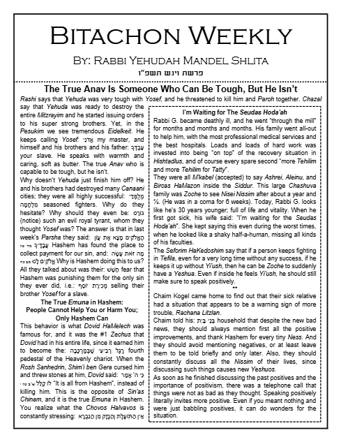 Bitachon Weekly — Parshas Vayigash