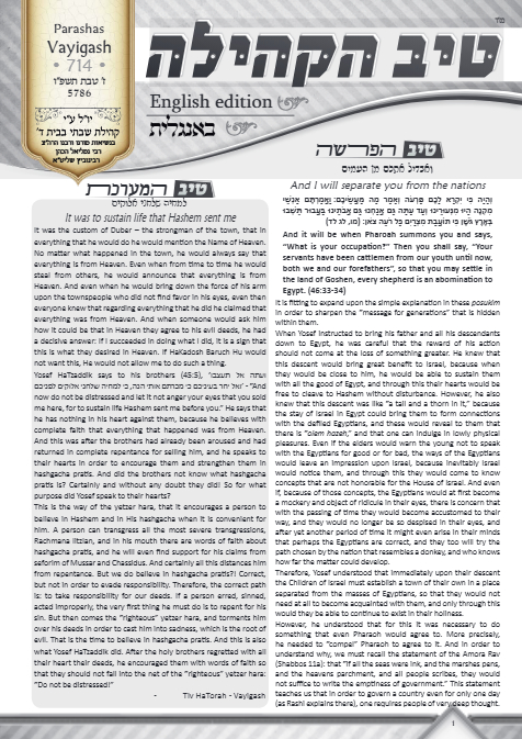 טיב הקהילה English — Parshas Vayigash