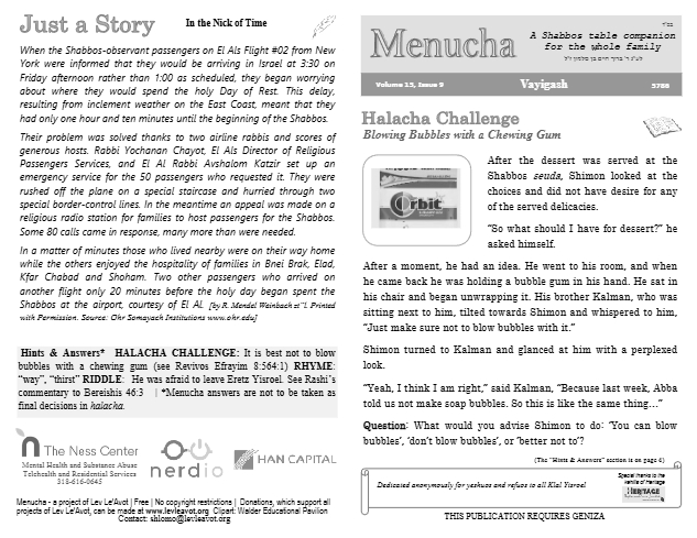 Menucha Magazine — Parshas Vayigash