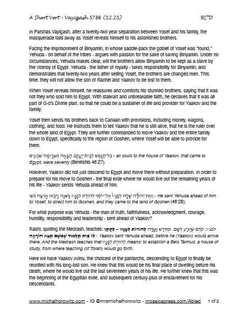 PDF Preview
