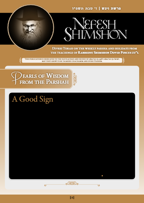 Nefesh Shimshon — Parshas Vayigash