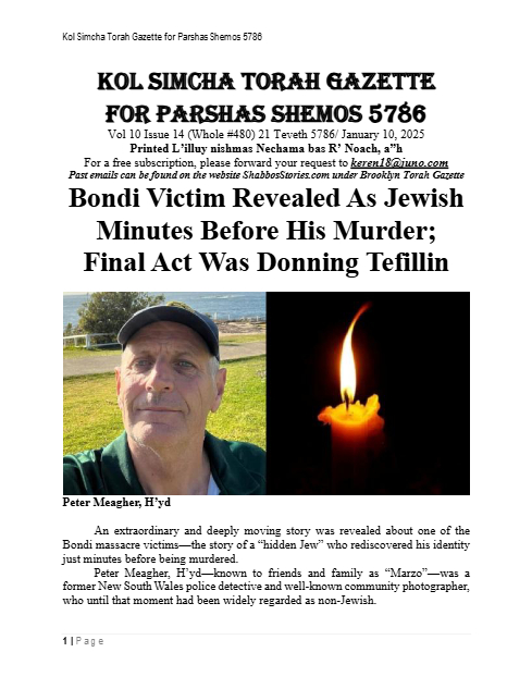 PDF Preview