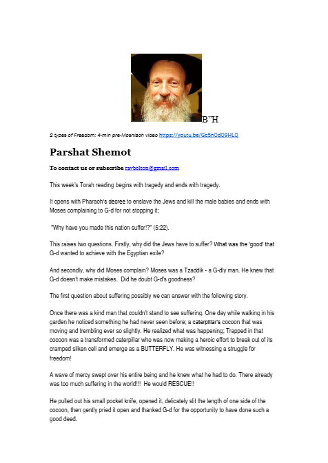 Rabbi Tuvia Bolton — Parshas Shemos