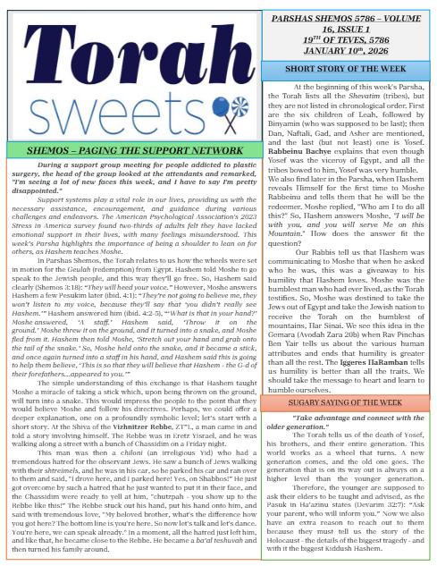 PDF Preview