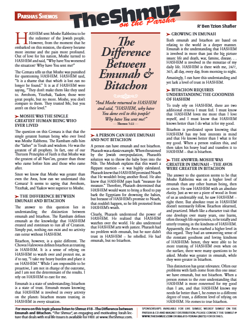 PDF Preview