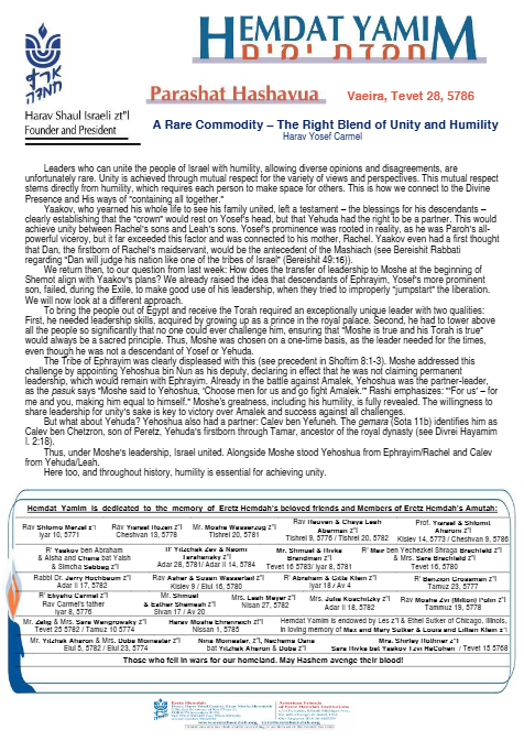 PDF Preview
