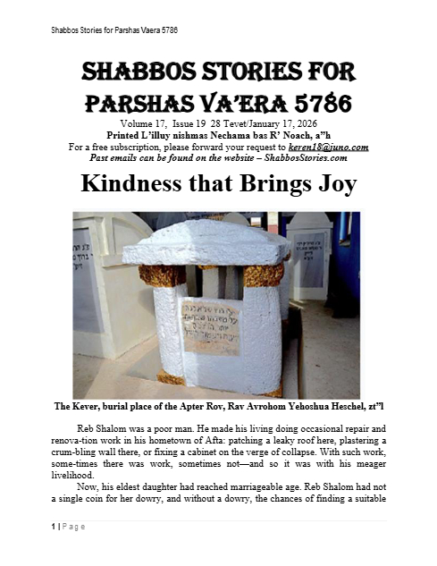 PDF Preview