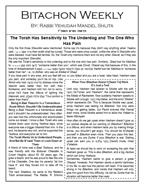 Bitachon Weekly — Parshas Va'eira