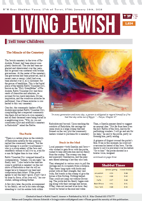 PDF Preview